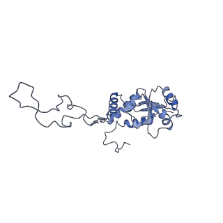 13967_7qh7_F_v1-0
Cryo-EM structure of the human mtLSU assembly intermediate upon MRM2 depletion - class 4