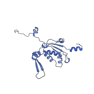 13967_7qh7_K_v1-0
Cryo-EM structure of the human mtLSU assembly intermediate upon MRM2 depletion - class 4