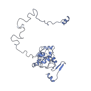 13967_7qh7_M_v1-0
Cryo-EM structure of the human mtLSU assembly intermediate upon MRM2 depletion - class 4