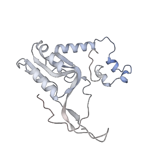 13967_7qh7_N_v1-0
Cryo-EM structure of the human mtLSU assembly intermediate upon MRM2 depletion - class 4