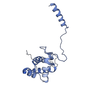 13967_7qh7_O_v1-0
Cryo-EM structure of the human mtLSU assembly intermediate upon MRM2 depletion - class 4