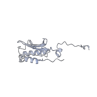 13967_7qh7_P_v1-0
Cryo-EM structure of the human mtLSU assembly intermediate upon MRM2 depletion - class 4