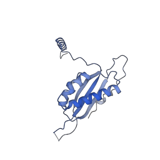 13967_7qh7_T_v1-0
Cryo-EM structure of the human mtLSU assembly intermediate upon MRM2 depletion - class 4