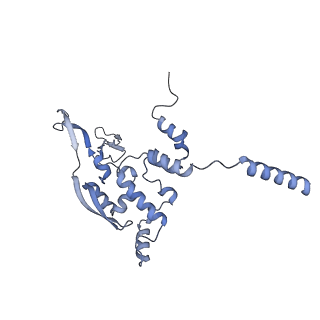 13967_7qh7_X_v1-0
Cryo-EM structure of the human mtLSU assembly intermediate upon MRM2 depletion - class 4