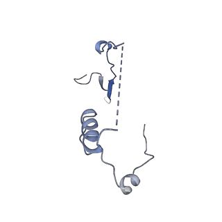 13967_7qh7_a_v1-0
Cryo-EM structure of the human mtLSU assembly intermediate upon MRM2 depletion - class 4