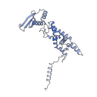 13967_7qh7_c_v1-0
Cryo-EM structure of the human mtLSU assembly intermediate upon MRM2 depletion - class 4