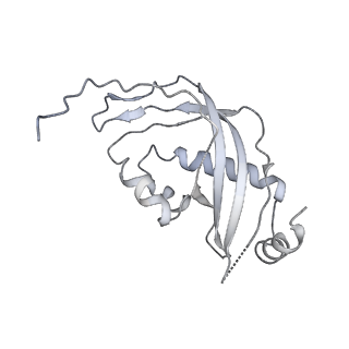 13967_7qh7_d_v1-0
Cryo-EM structure of the human mtLSU assembly intermediate upon MRM2 depletion - class 4