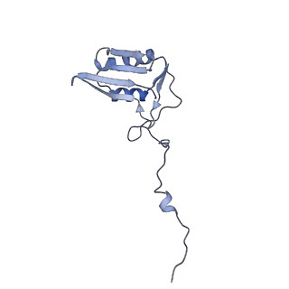 13967_7qh7_g_v1-0
Cryo-EM structure of the human mtLSU assembly intermediate upon MRM2 depletion - class 4