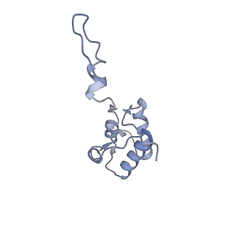 13967_7qh7_h_v1-0
Cryo-EM structure of the human mtLSU assembly intermediate upon MRM2 depletion - class 4