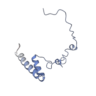 13967_7qh7_i_v1-0
Cryo-EM structure of the human mtLSU assembly intermediate upon MRM2 depletion - class 4