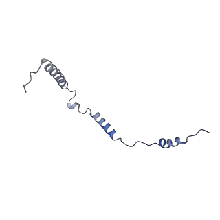 13967_7qh7_o_v1-0
Cryo-EM structure of the human mtLSU assembly intermediate upon MRM2 depletion - class 4