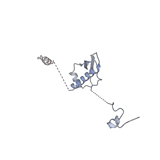13967_7qh7_p_v1-0
Cryo-EM structure of the human mtLSU assembly intermediate upon MRM2 depletion - class 4