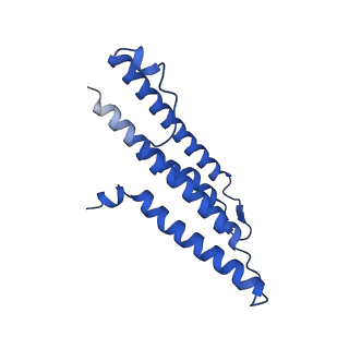 13968_7qha_A_v1-1
Cryo-EM structure of the Tripartite ATP-independent Periplasmic (TRAP) transporter SiaQM from Photobacterium profundum in amphipol