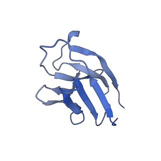 13968_7qha_C_v1-1
Cryo-EM structure of the Tripartite ATP-independent Periplasmic (TRAP) transporter SiaQM from Photobacterium profundum in amphipol