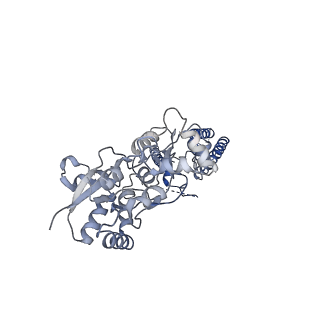 13969_7qhb_A_v1-0
Active state of GluA1/2 in complex with TARP gamma 8, L-glutamate and CTZ