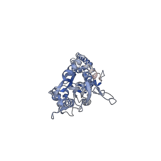 13969_7qhb_B_v1-0
Active state of GluA1/2 in complex with TARP gamma 8, L-glutamate and CTZ