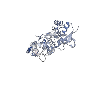 13969_7qhb_C_v1-0
Active state of GluA1/2 in complex with TARP gamma 8, L-glutamate and CTZ