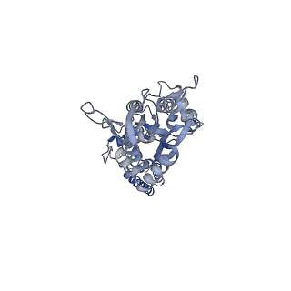 13969_7qhb_D_v1-0
Active state of GluA1/2 in complex with TARP gamma 8, L-glutamate and CTZ
