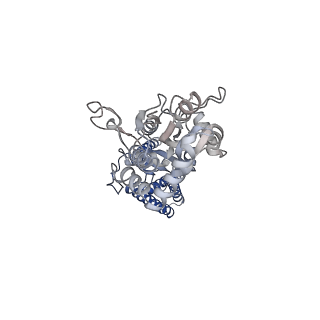 13972_7qhh_B_v1-0
Desensitized state of GluA1/2 AMPA receptor in complex with TARP-gamma 8 (TMD-LBD)