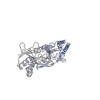 13972_7qhh_C_v1-0
Desensitized state of GluA1/2 AMPA receptor in complex with TARP-gamma 8 (TMD-LBD)