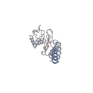 13976_7qhm_C_v1-0
Cytochrome bcc-aa3 supercomplex (respiratory supercomplex III2/IV2) from Corynebacterium glutamicum (stigmatellin and azide bound)