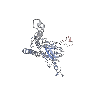 13976_7qhm_E_v1-0
Cytochrome bcc-aa3 supercomplex (respiratory supercomplex III2/IV2) from Corynebacterium glutamicum (stigmatellin and azide bound)
