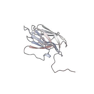 13976_7qhm_H_v1-0
Cytochrome bcc-aa3 supercomplex (respiratory supercomplex III2/IV2) from Corynebacterium glutamicum (stigmatellin and azide bound)