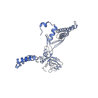 13976_7qhm_N_v1-0
Cytochrome bcc-aa3 supercomplex (respiratory supercomplex III2/IV2) from Corynebacterium glutamicum (stigmatellin and azide bound)