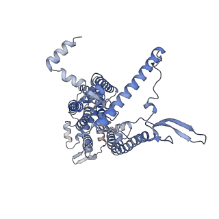 13976_7qhm_O_v1-0
Cytochrome bcc-aa3 supercomplex (respiratory supercomplex III2/IV2) from Corynebacterium glutamicum (stigmatellin and azide bound)