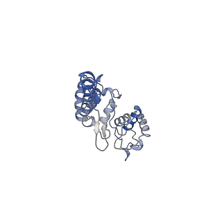 13976_7qhm_P_v1-0
Cytochrome bcc-aa3 supercomplex (respiratory supercomplex III2/IV2) from Corynebacterium glutamicum (stigmatellin and azide bound)