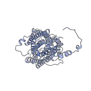 13976_7qhm_Q_v1-0
Cytochrome bcc-aa3 supercomplex (respiratory supercomplex III2/IV2) from Corynebacterium glutamicum (stigmatellin and azide bound)