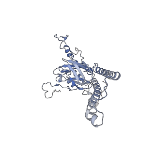 13976_7qhm_R_v1-0
Cytochrome bcc-aa3 supercomplex (respiratory supercomplex III2/IV2) from Corynebacterium glutamicum (stigmatellin and azide bound)