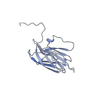 13976_7qhm_U_v1-0
Cytochrome bcc-aa3 supercomplex (respiratory supercomplex III2/IV2) from Corynebacterium glutamicum (stigmatellin and azide bound)