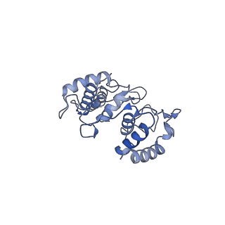 13977_7qho_C_v1-0
Cytochrome bcc-aa3 supercomplex (respiratory supercomplex III2/IV2) from Corynebacterium glutamicum (as isolated)