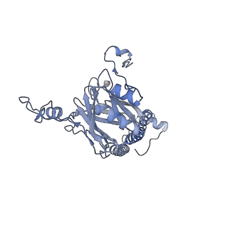 13977_7qho_E_v1-0
Cytochrome bcc-aa3 supercomplex (respiratory supercomplex III2/IV2) from Corynebacterium glutamicum (as isolated)