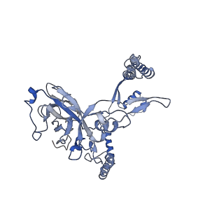 13977_7qho_N_v1-0
Cytochrome bcc-aa3 supercomplex (respiratory supercomplex III2/IV2) from Corynebacterium glutamicum (as isolated)