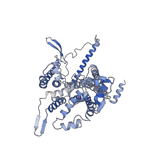 13977_7qho_O_v1-0
Cytochrome bcc-aa3 supercomplex (respiratory supercomplex III2/IV2) from Corynebacterium glutamicum (as isolated)