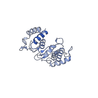 13977_7qho_P_v1-0
Cytochrome bcc-aa3 supercomplex (respiratory supercomplex III2/IV2) from Corynebacterium glutamicum (as isolated)