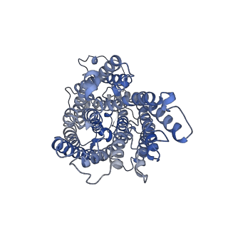 13977_7qho_Q_v1-0
Cytochrome bcc-aa3 supercomplex (respiratory supercomplex III2/IV2) from Corynebacterium glutamicum (as isolated)