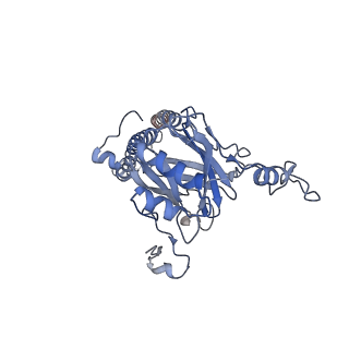 13977_7qho_R_v1-0
Cytochrome bcc-aa3 supercomplex (respiratory supercomplex III2/IV2) from Corynebacterium glutamicum (as isolated)