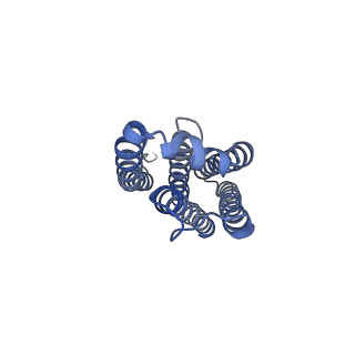 13977_7qho_S_v1-0
Cytochrome bcc-aa3 supercomplex (respiratory supercomplex III2/IV2) from Corynebacterium glutamicum (as isolated)