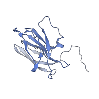 13977_7qho_U_v1-0
Cytochrome bcc-aa3 supercomplex (respiratory supercomplex III2/IV2) from Corynebacterium glutamicum (as isolated)