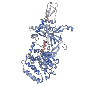 13978_7qhs_2_v1-2
S. cerevisiae CMGE nucleating origin DNA melting