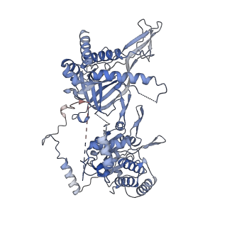 13978_7qhs_3_v1-2
S. cerevisiae CMGE nucleating origin DNA melting