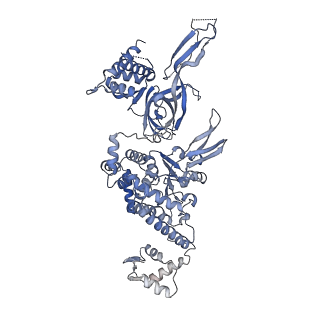 13978_7qhs_5_v1-2
S. cerevisiae CMGE nucleating origin DNA melting