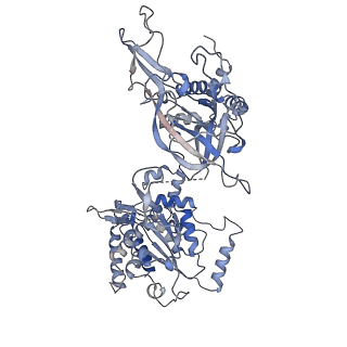13978_7qhs_6_v1-2
S. cerevisiae CMGE nucleating origin DNA melting