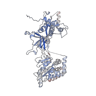 13978_7qhs_7_v1-2
S. cerevisiae CMGE nucleating origin DNA melting