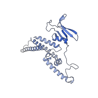 13978_7qhs_D_v1-2
S. cerevisiae CMGE nucleating origin DNA melting
