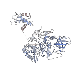 13978_7qhs_F_v1-2
S. cerevisiae CMGE nucleating origin DNA melting