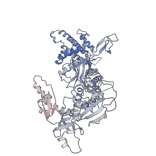 13978_7qhs_G_v1-2
S. cerevisiae CMGE nucleating origin DNA melting
